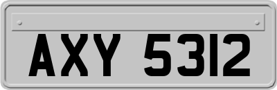 AXY5312