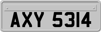 AXY5314