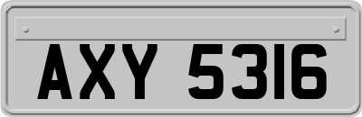 AXY5316