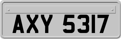 AXY5317