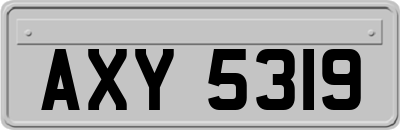 AXY5319