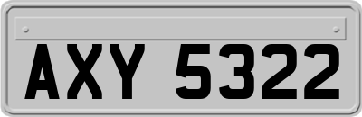 AXY5322