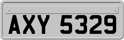 AXY5329