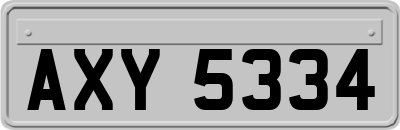 AXY5334