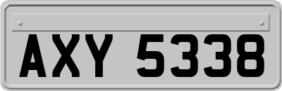 AXY5338