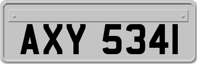 AXY5341