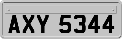 AXY5344