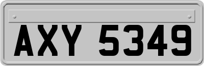 AXY5349