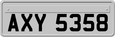 AXY5358