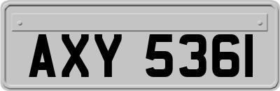 AXY5361