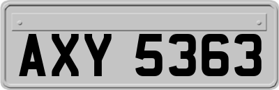 AXY5363