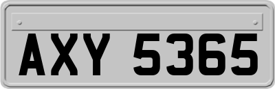 AXY5365