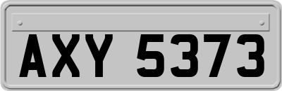 AXY5373