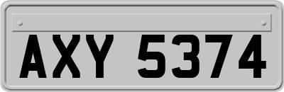 AXY5374