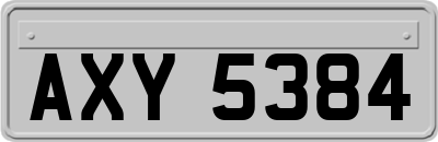 AXY5384