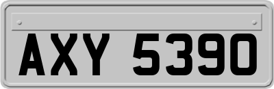 AXY5390