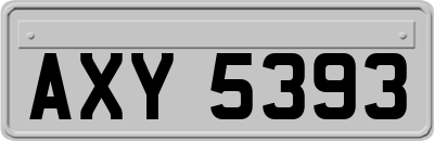 AXY5393