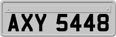 AXY5448