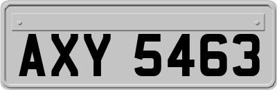 AXY5463