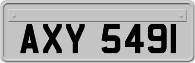 AXY5491