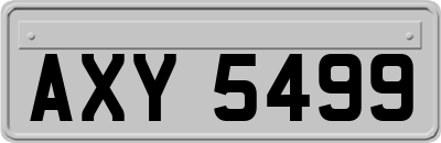 AXY5499