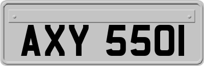 AXY5501