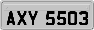 AXY5503