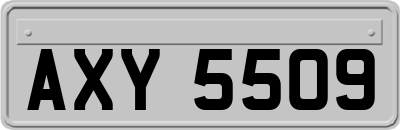 AXY5509