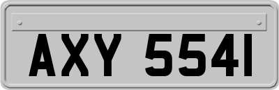 AXY5541