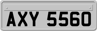 AXY5560