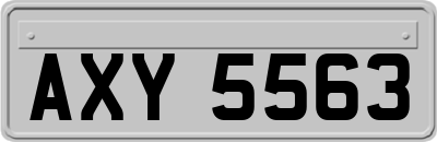 AXY5563