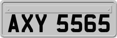 AXY5565