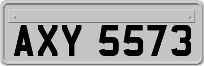 AXY5573