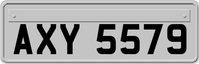AXY5579