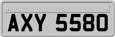 AXY5580