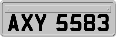 AXY5583