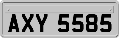 AXY5585