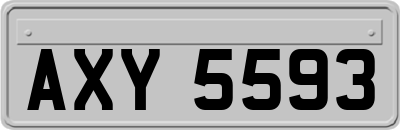 AXY5593