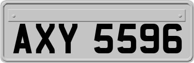 AXY5596