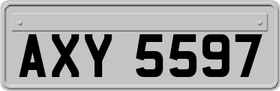 AXY5597