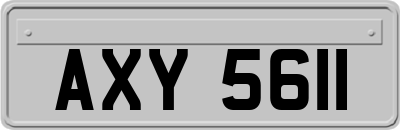 AXY5611