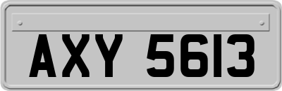 AXY5613