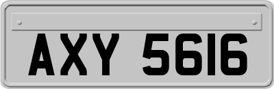 AXY5616