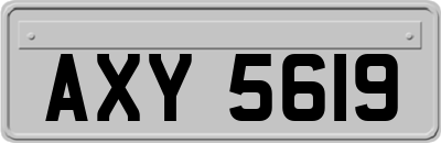 AXY5619