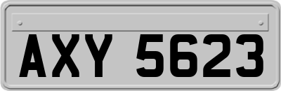 AXY5623