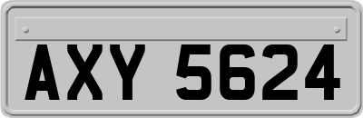AXY5624