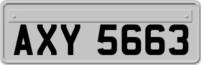 AXY5663