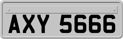 AXY5666