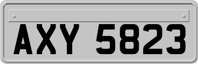 AXY5823