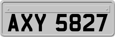 AXY5827
